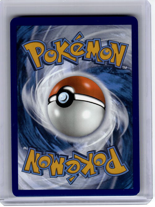 2024 Pokemon—Charizard ex #161 Scarlet & Violet—Black Star Promo Holo