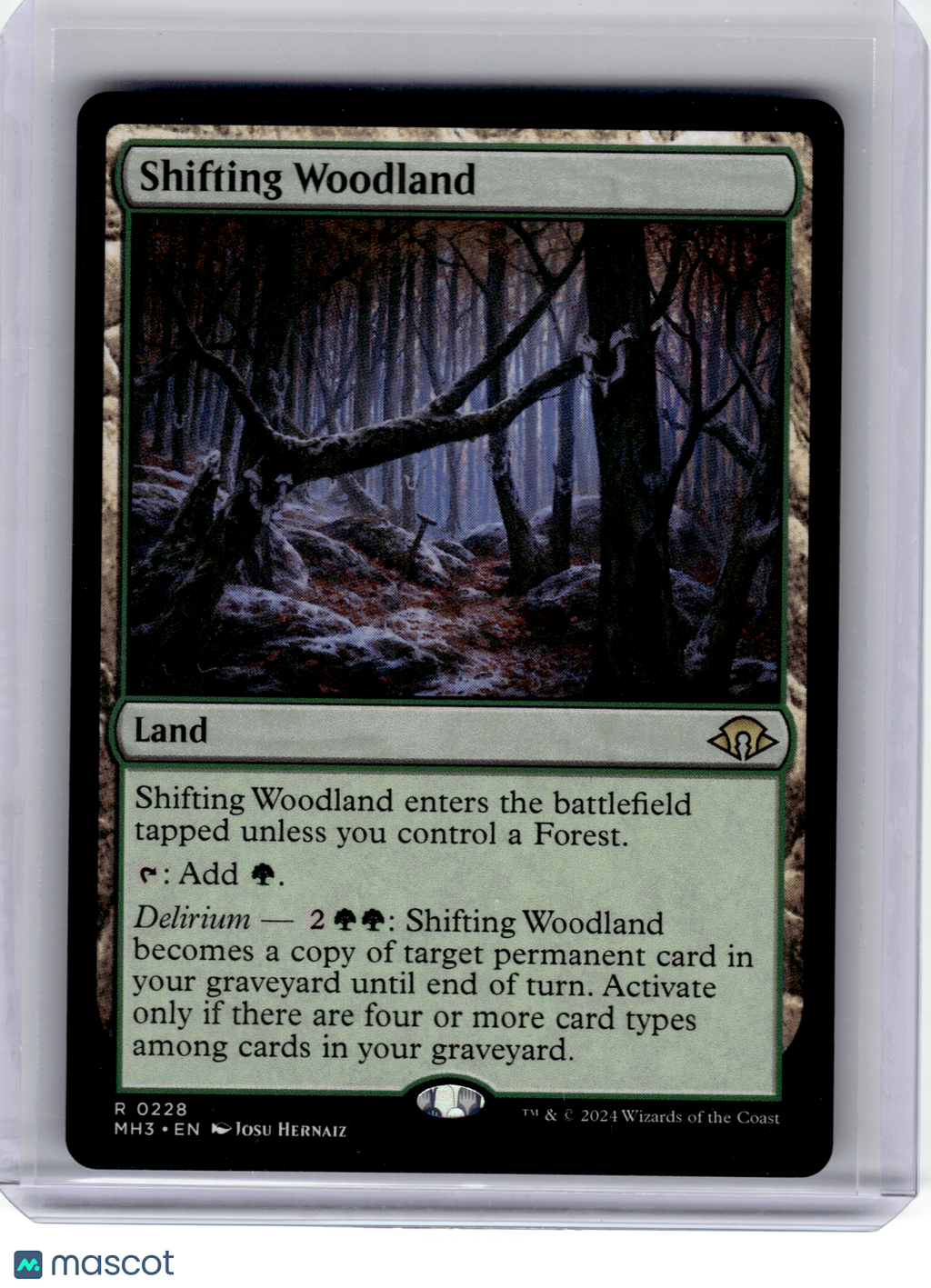 2024 Magic: The Gathering—Shifting Woodland #228 Modern Horizons 3—M Non-Foil