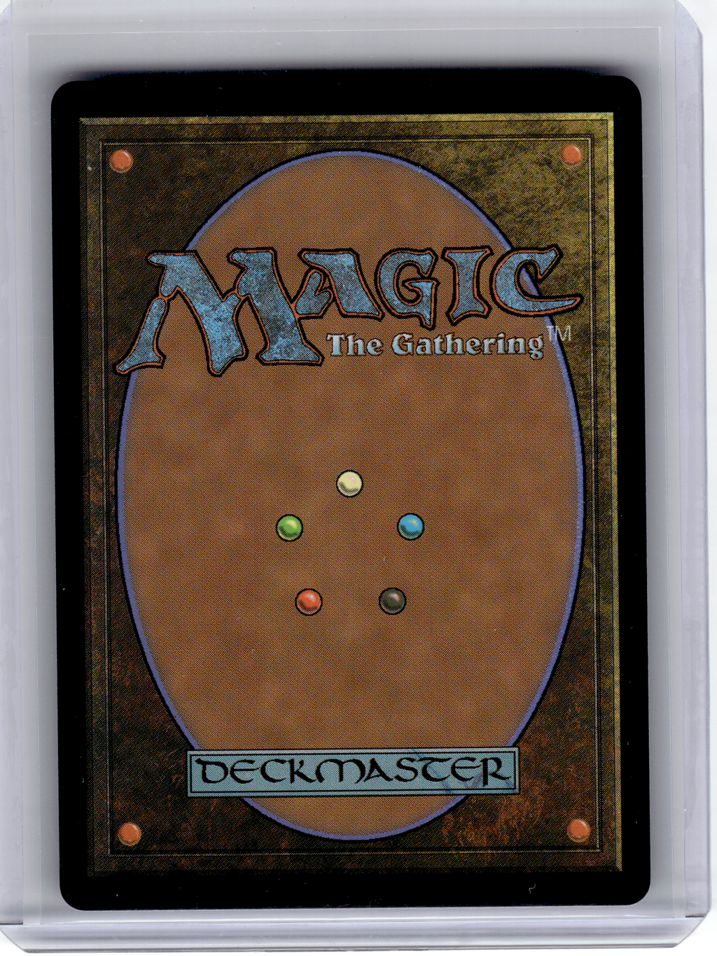 2024 Magic: The Gathering—Shifting Woodland #228 Modern Horizons 3—M Non-Foil