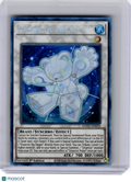 2020 YuGiOh TCG—Ursarctic Polari #EN033 ANGU—Collector's Rare Foil (1st Edition)