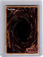 2020 YuGiOh TCG—Ursarctic Polari #EN033 ANGU—Collector's Rare Foil (1st Edition)