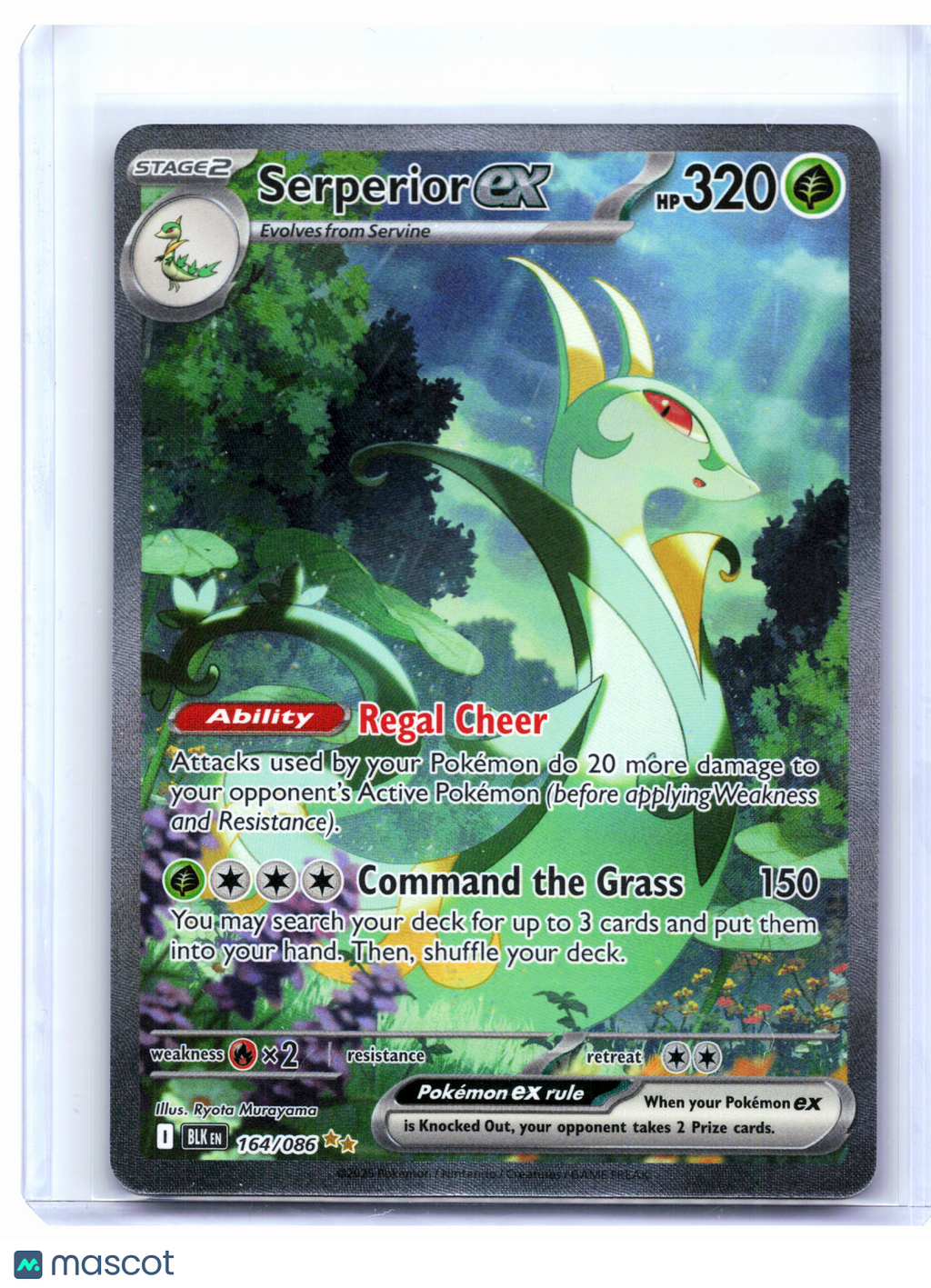 2025 Pokemon—Serperior ex #164/086 Black Bolt—Special Illustration Rare Holo