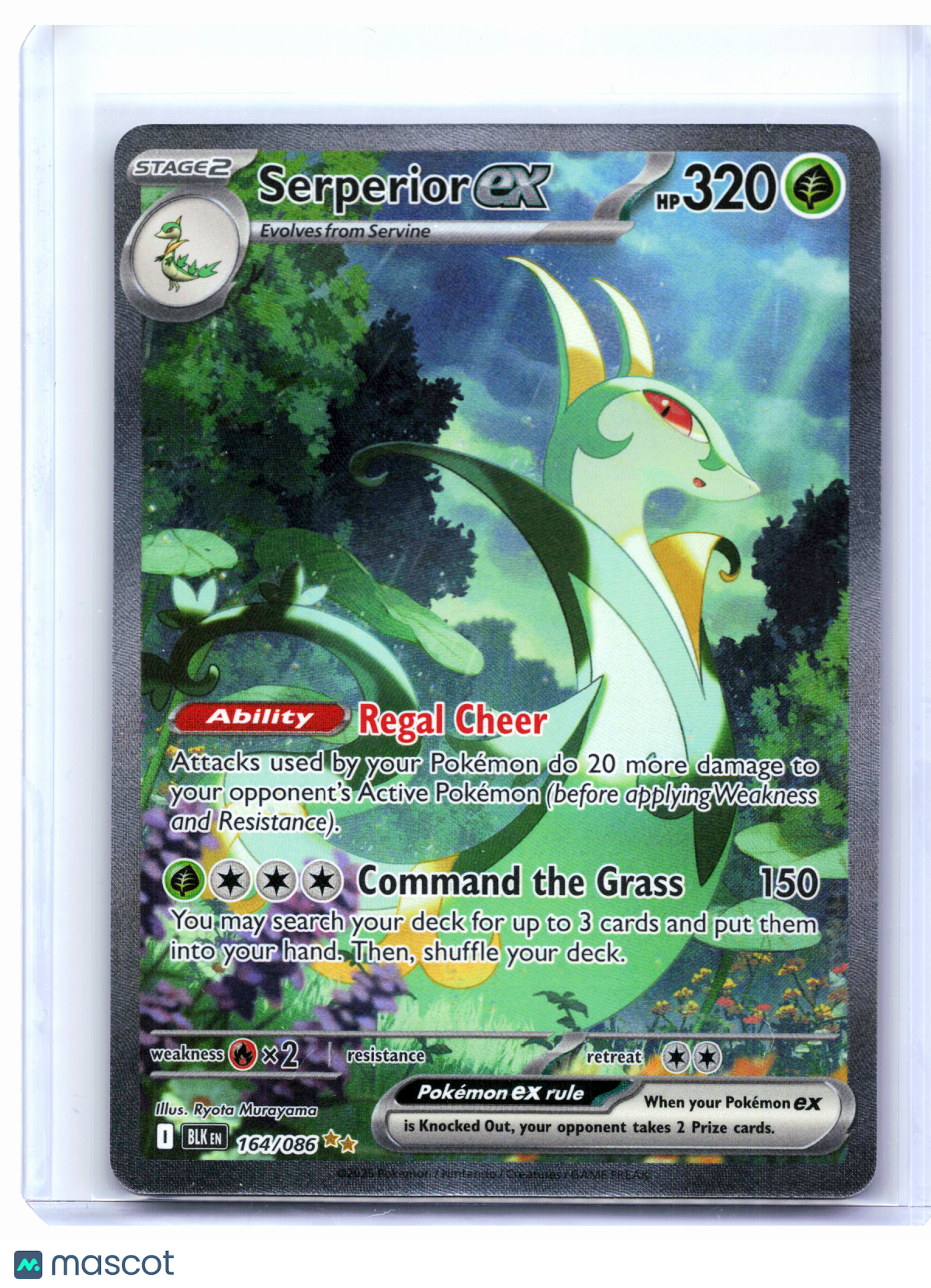 2025 Pokemon—Serperior ex #164/086 Black Bolt—Special Illustration Rare Holo