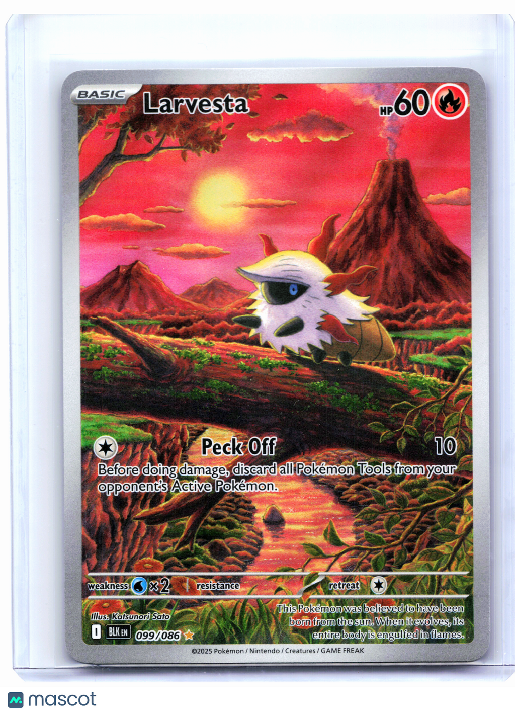2025 Pokemon—Larvesta #099/086 Black Bolt—Illustration Rare Holo