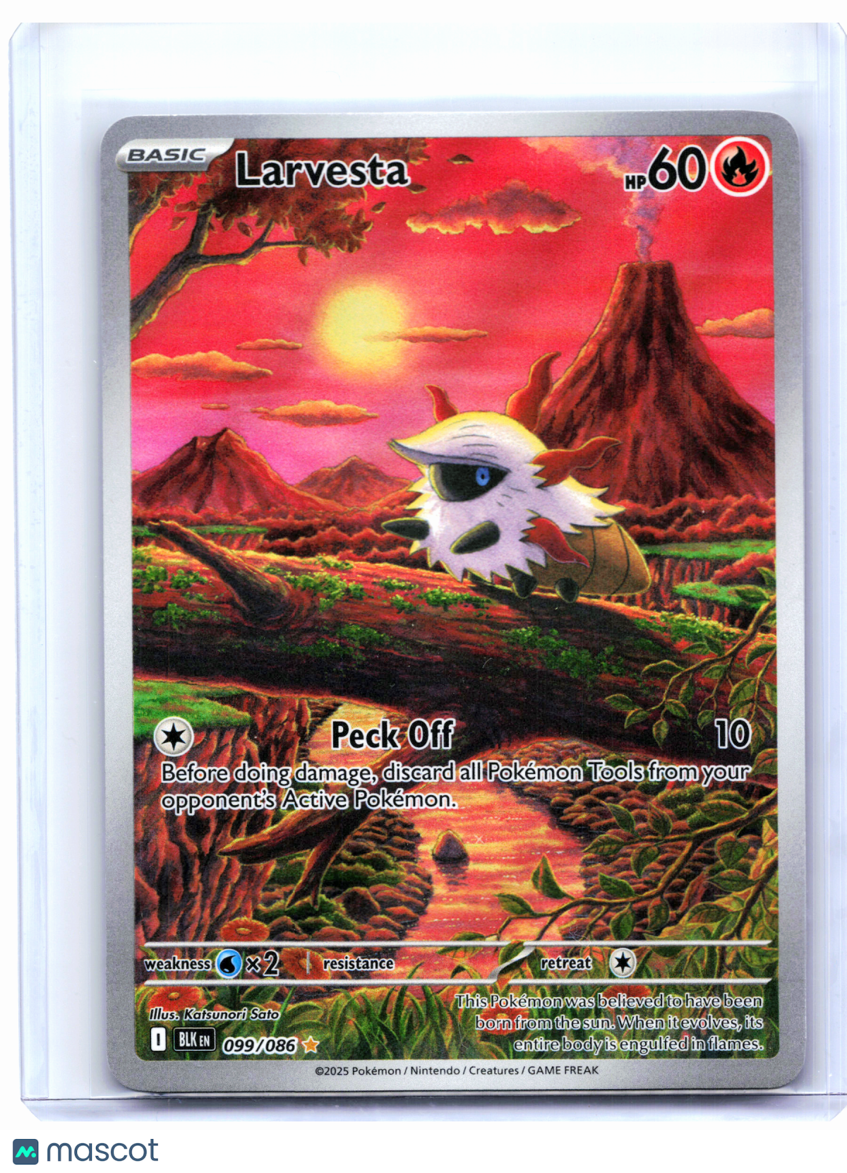2025 Pokemon—Larvesta #099/086 Black Bolt—Illustration Rare Holo