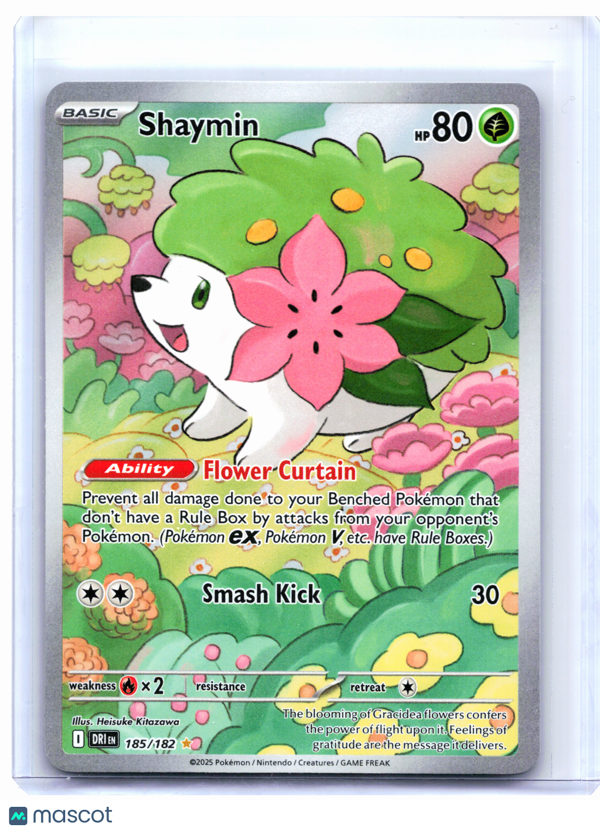 2025 Pokemon—Shaymin #185/182 Destined Rivals—Illustration Rare Holo