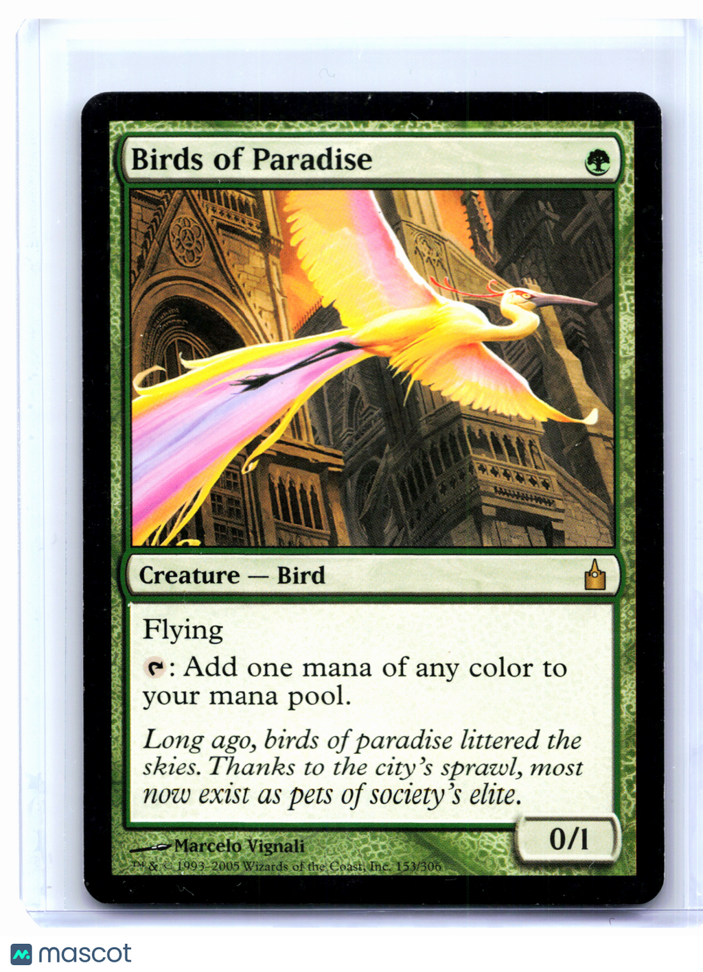2005 Magic: TG—Birds of Paradise #153 Ravnica: City of Guilds—Rare Nonfoil [LP]
