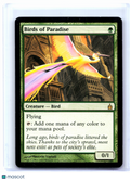 2005 Magic: TG—Birds of Paradise #153 Ravnica: City of Guilds—Rare Nonfoil [LP]