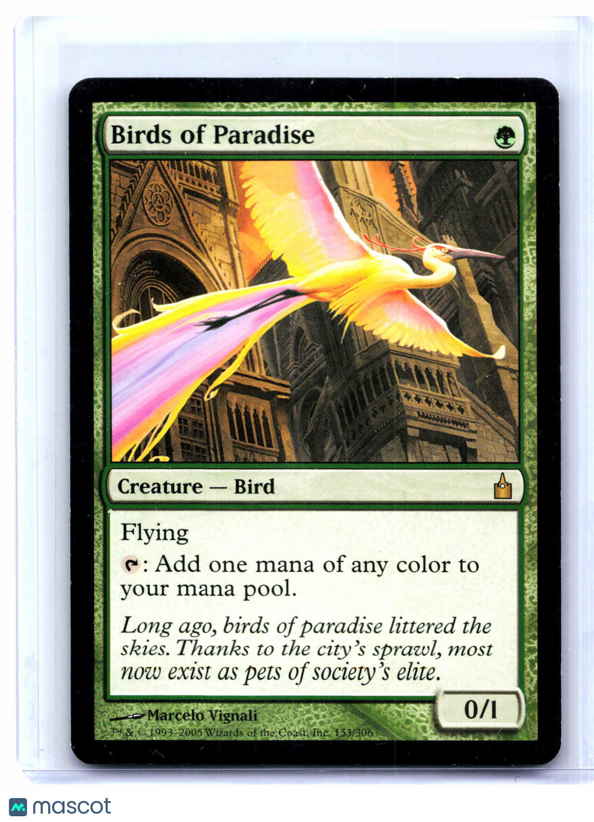 2005 Magic: TG—Birds of Paradise #153 Ravnica: City of Guilds—Rare Nonfoil [LP]
