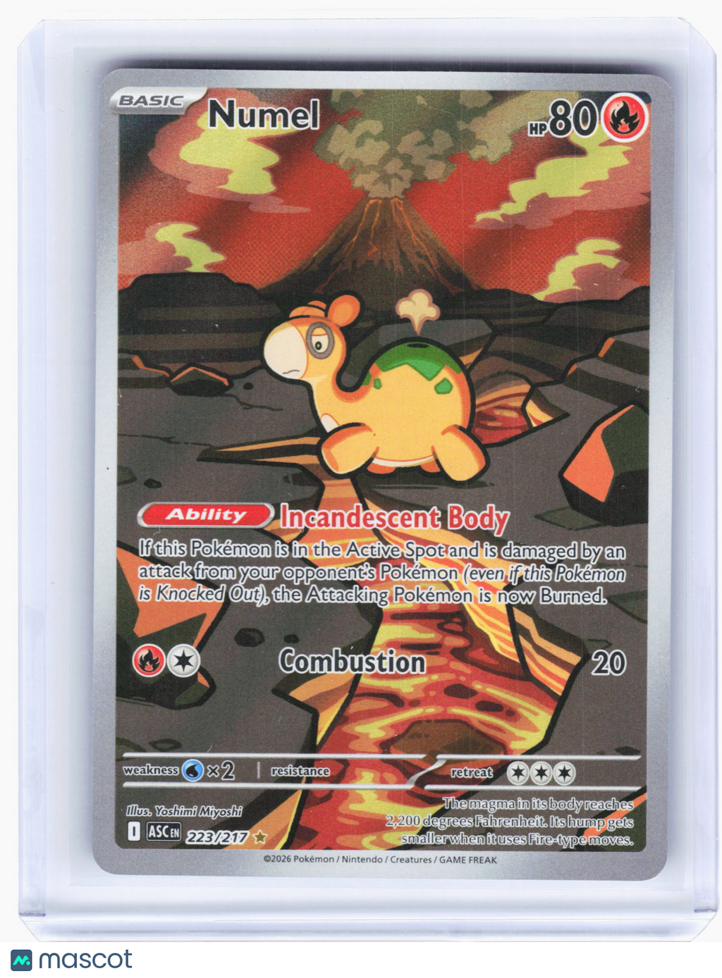 2026 Pokemon—Numel #223/217 Ascended Heroes—Illustration Rare Holo