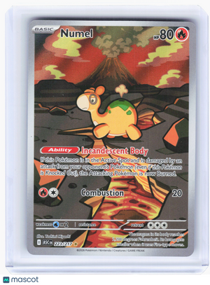 2026 Pokemon—Numel #223/217 Ascended Heroes—Illustration Rare Holo