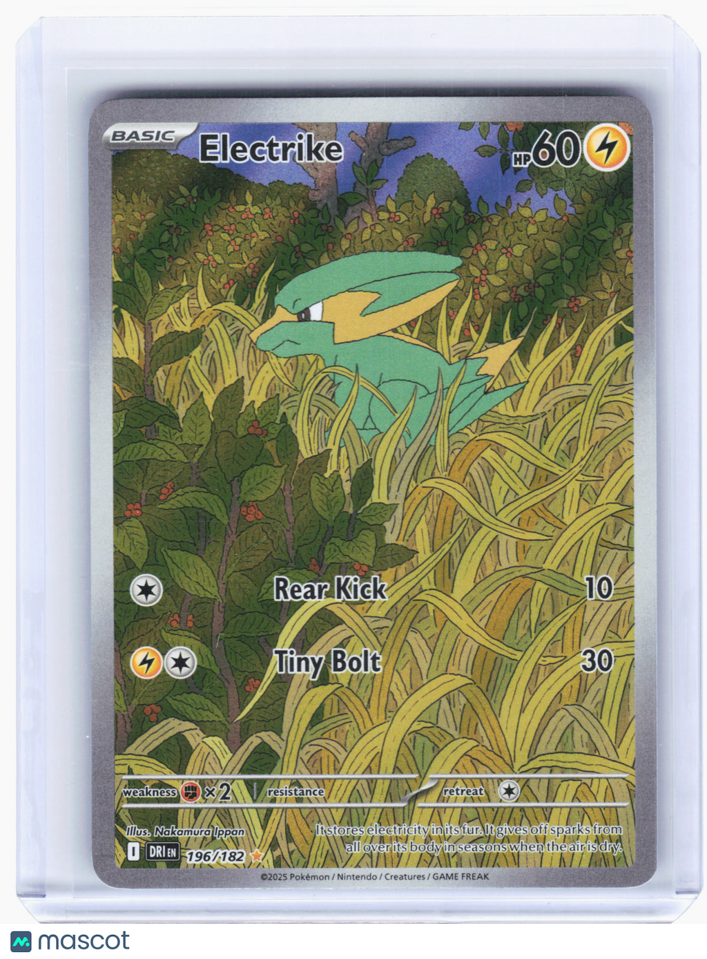 2025 Pokemon—Electrike #196/182 Destined Rivals—Illustration Rare Holo