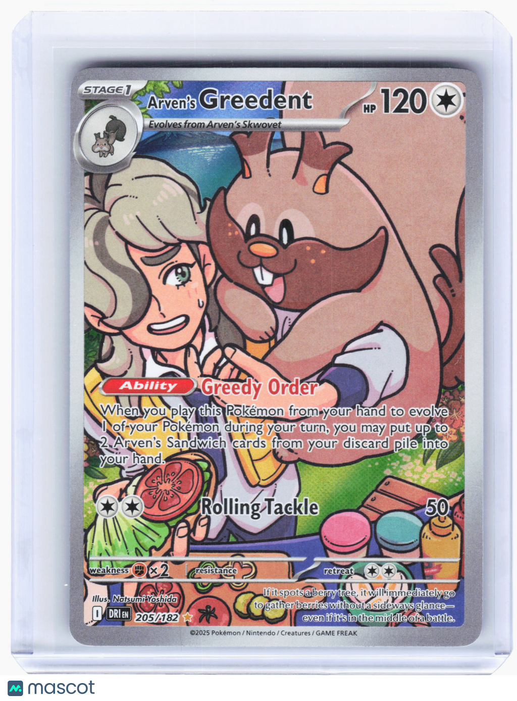 2025 Pokemon—Arven's Greedent #205/182 Destined Rivals—Illustration Rare Holo