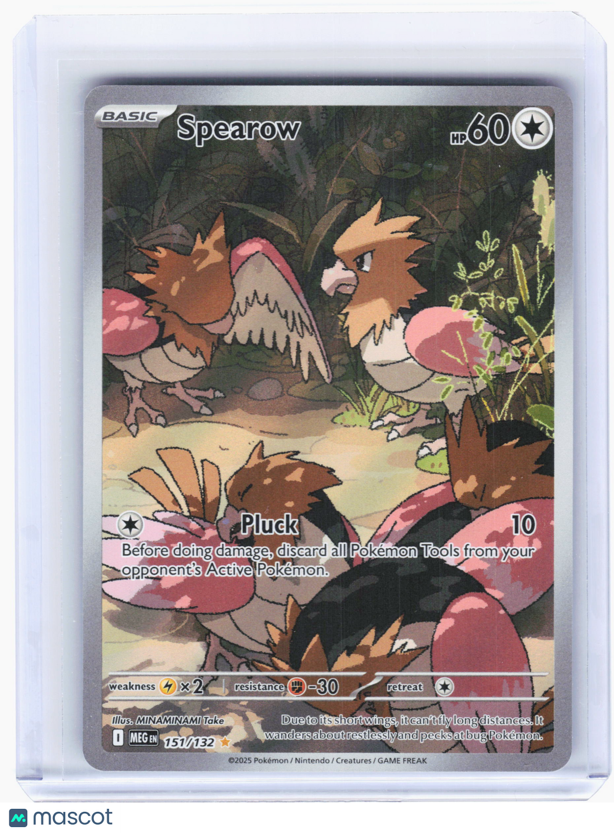 2025 Pokemon—Spearow #151/132 Mega Evolution—Illustration Rare Holo