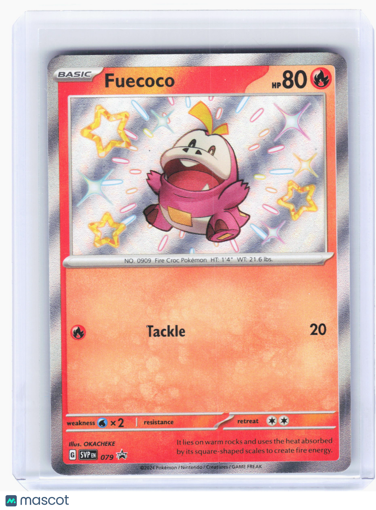2024 Pokemon—Fuecoco #SVP 079 Scarlet & Violet Promo Cards— Holo