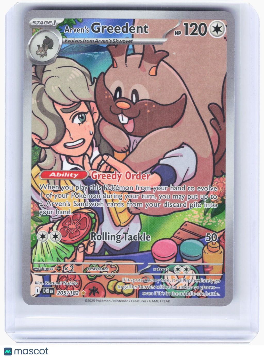 2025 Pokemon—Arven's Greedent #205/182 Destined Rivals—Illustration Rare Holo