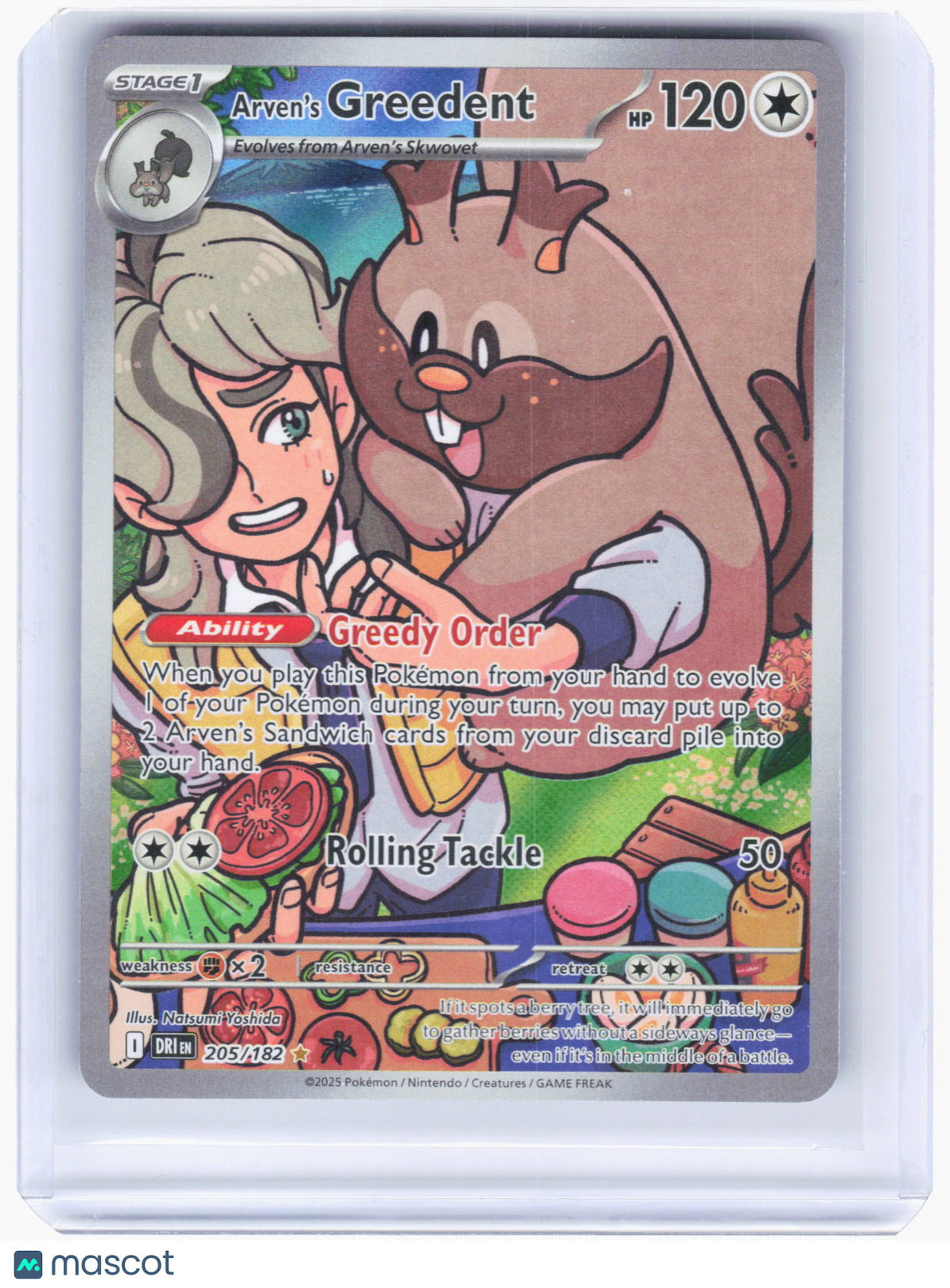 2025 Pokemon—Arven's Greedent #205/182 Destined Rivals—Illustration Rare Holo