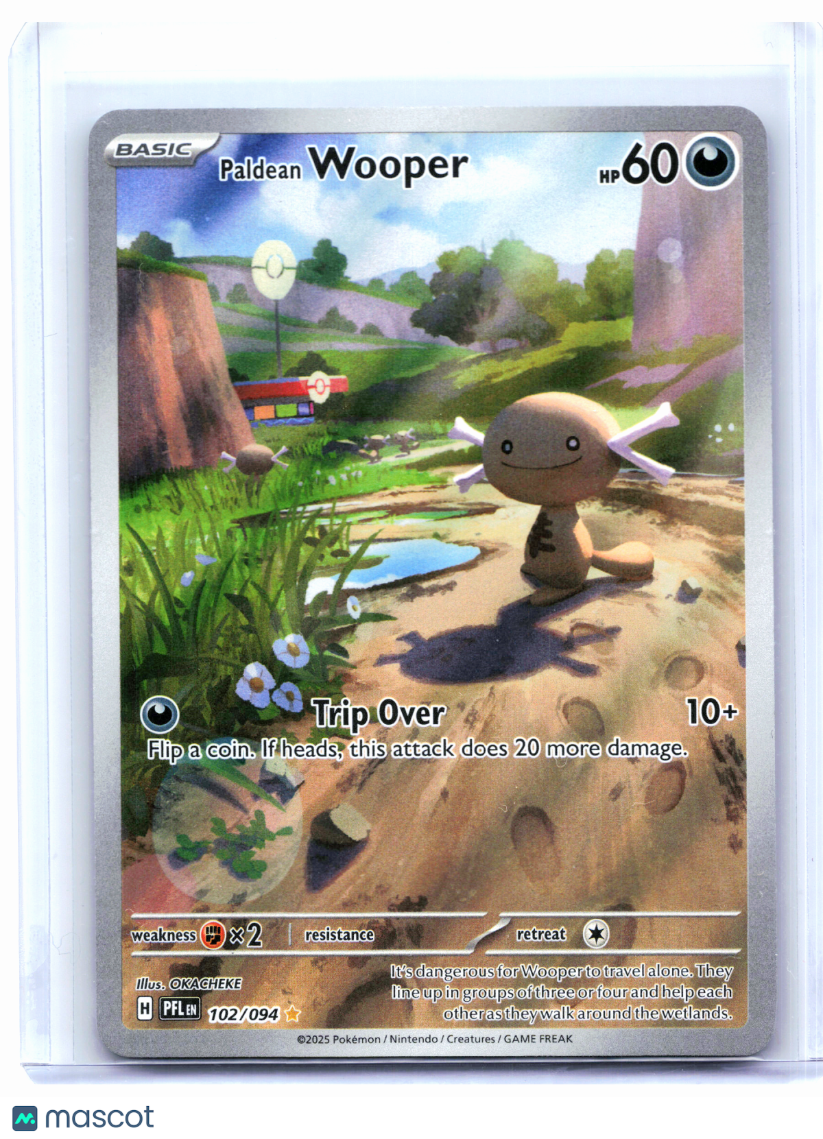 2025 Pokemon—Paldean Wooper #102/094 Phantasmal Flames—Illustration Rare Holo