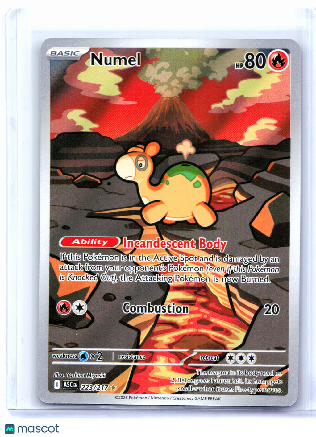 2026 Pokemon—Numel #223/217 Ascended Heroes—Illustration Rare Holo