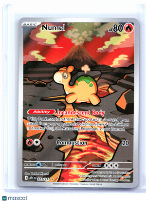 2026 Pokemon—Numel #223/217 Ascended Heroes—Illustration Rare Holo