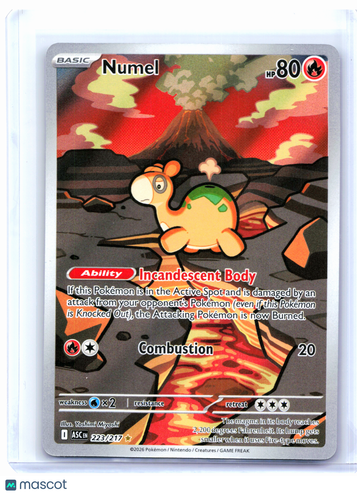 2026 Pokemon—Numel #223/217 Ascended Heroes—Illustration Rare Holo