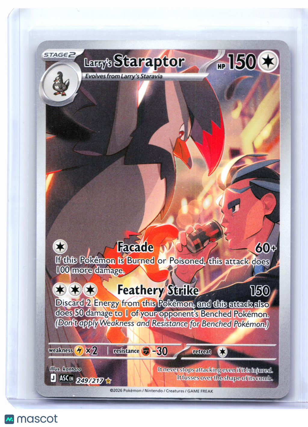 2026 Pokemon—Larry's Staraptor #249/217 Ascended Heroes—Illustration Rare Holo