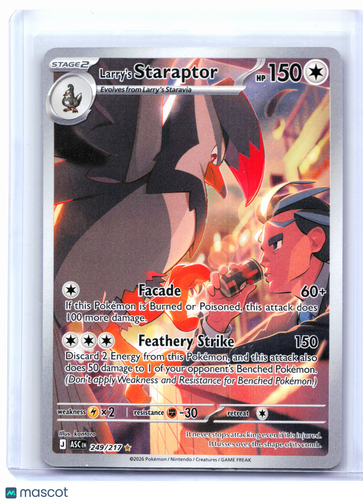 2026 Pokemon—Larry's Staraptor #249/217 Ascended Heroes—Illustration Rare Holo