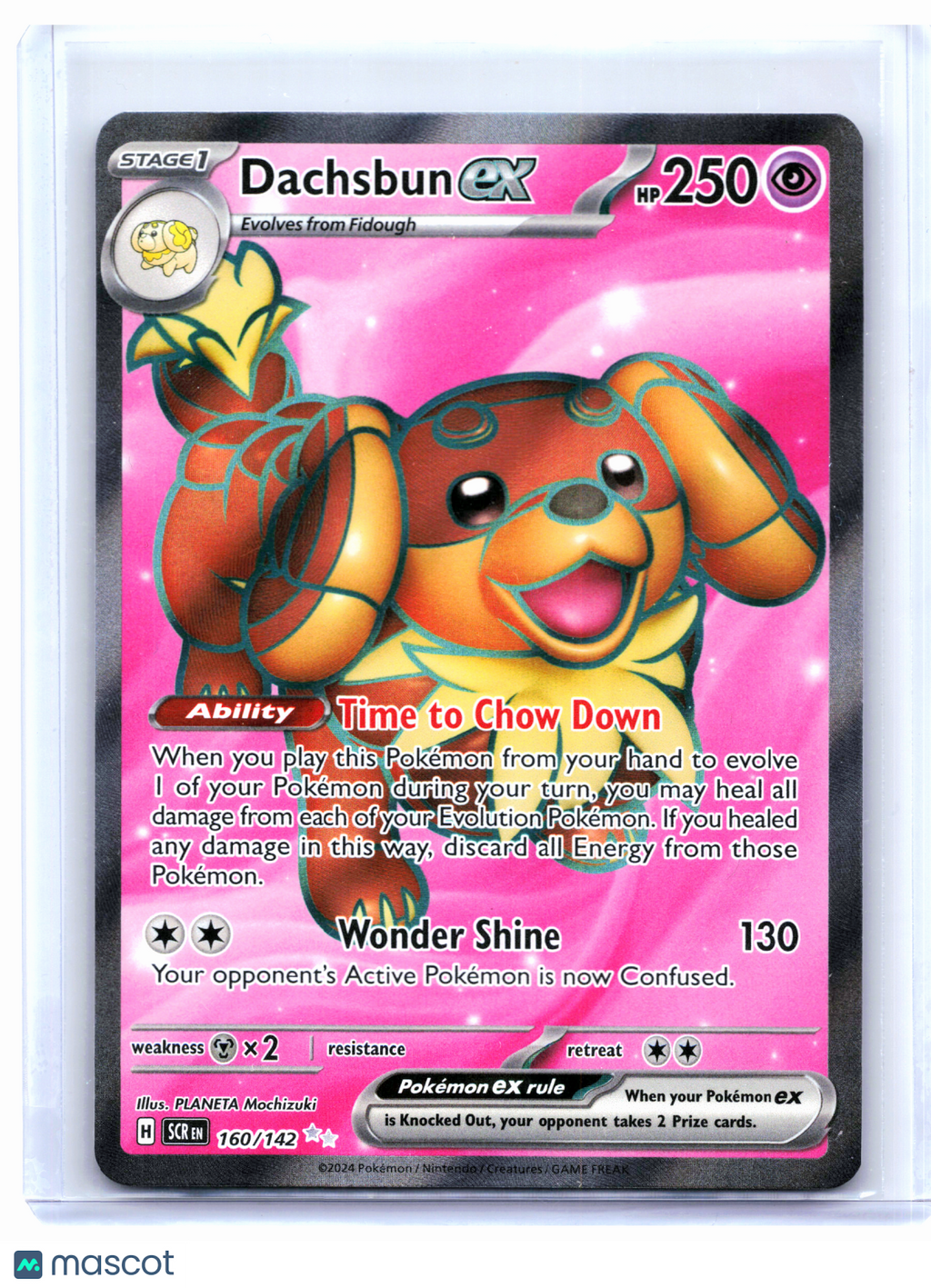 2024 Pokemon—Dachsbun ex #160/142 Stellar Crown—Ultra Rare Holo