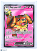 2024 Pokemon—Dachsbun ex #160/142 Stellar Crown—Ultra Rare Holo