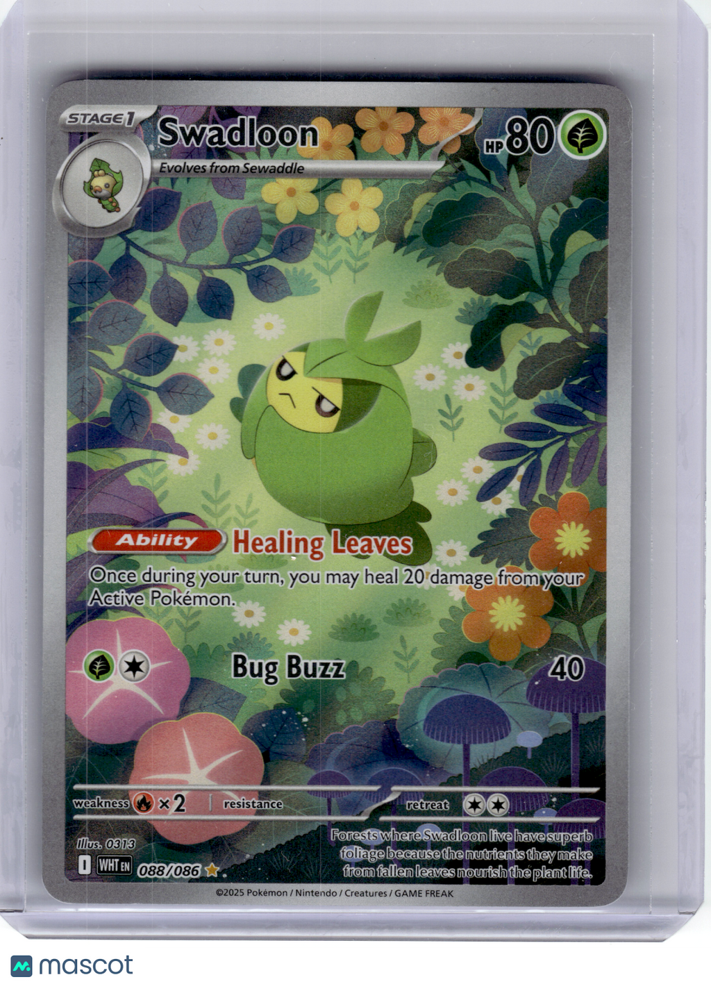 2025 Pokemon—Swadloon #88/86 White Flare—Illustration Rare Holo