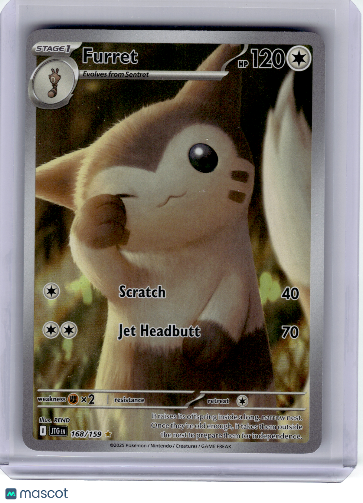2025 Pokemon—Furret #168/159 Journey Together—Illustration Rare [Lightly Played]
