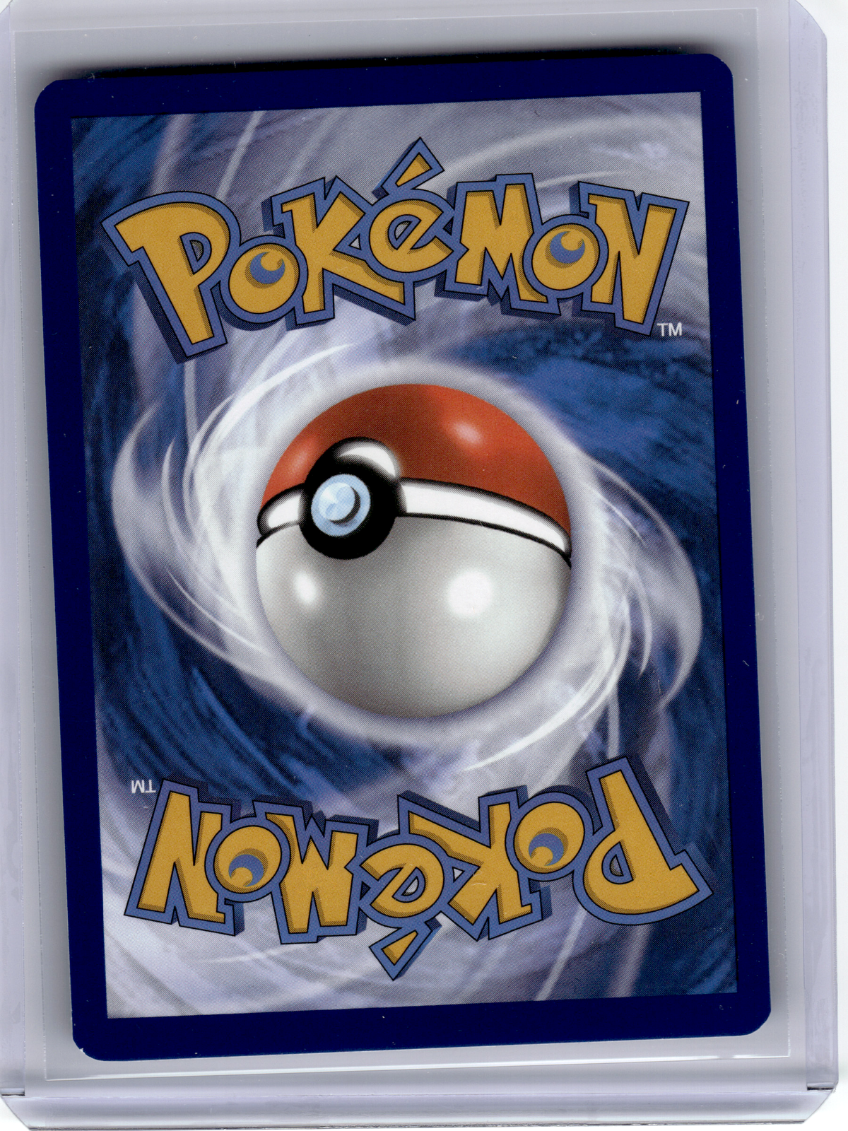 2024 Pokemon—Squirtle #148/142 Stellar Crown—Illustration Rare [Lightly Played]