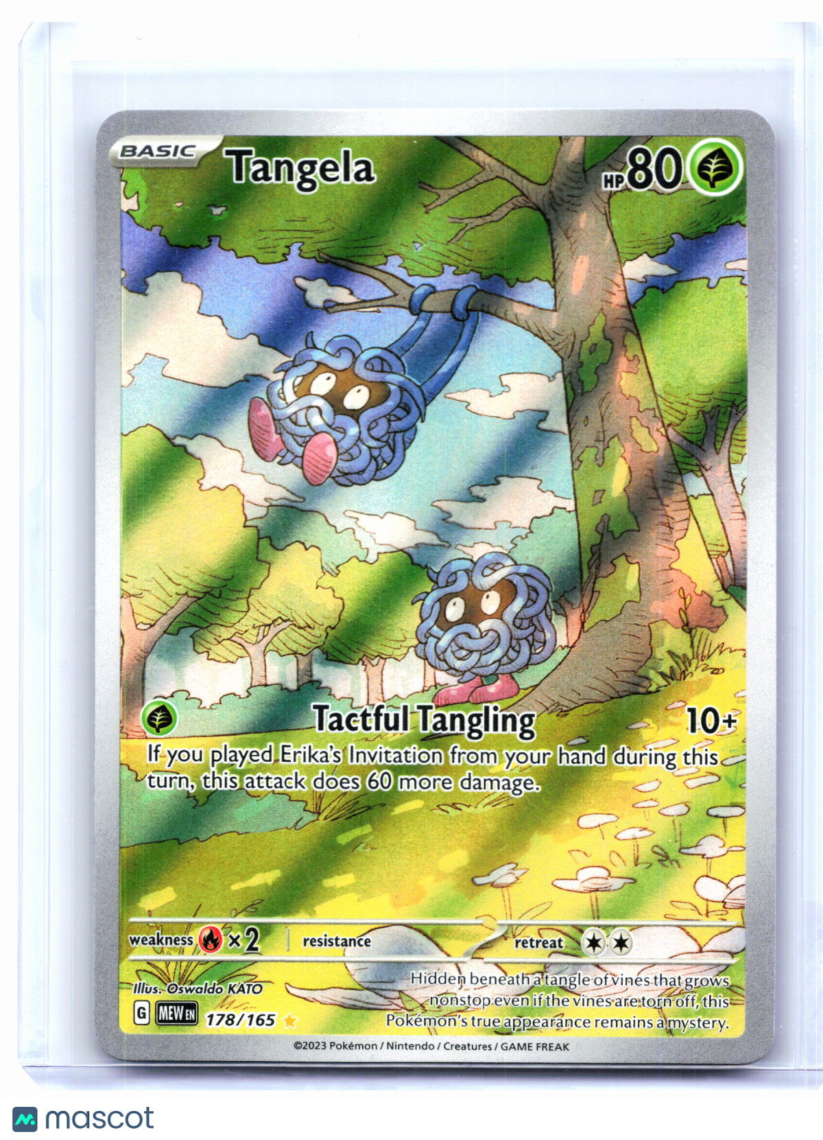 2023 Pokemon—Tangela #178/165 Scarlet & Violet 151—Illustration Rare Holo [LP]