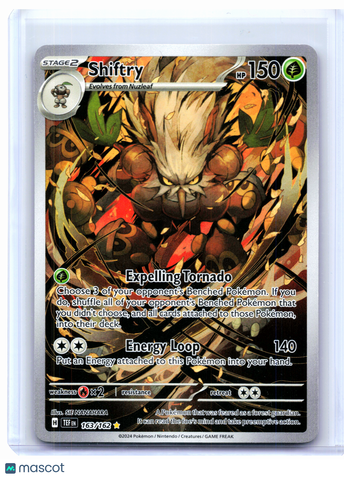 2024 Pokemon—Shiftry #163/162 Temporal Forces—Illustration Rare Holo [LP]