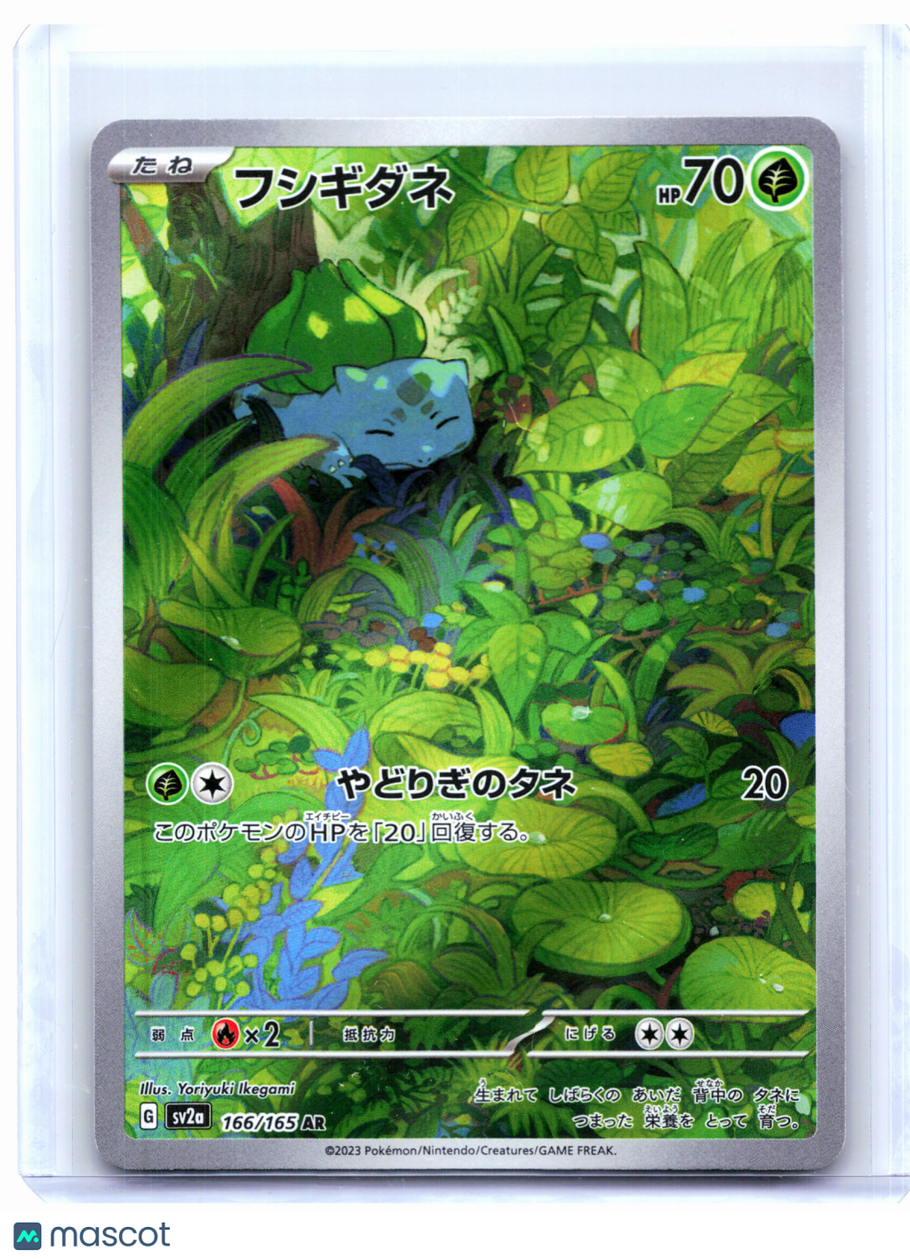 2023 Pokemon—Bulbasaur #166/165 Pokemon Card 151—Art Rare Holo Japanese