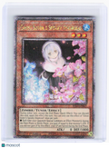 2023 Yu-Gi-Oh!—Ghost Sister & Spooky Dogwood #RA03-EN020 (RA03)—QCSR Foil