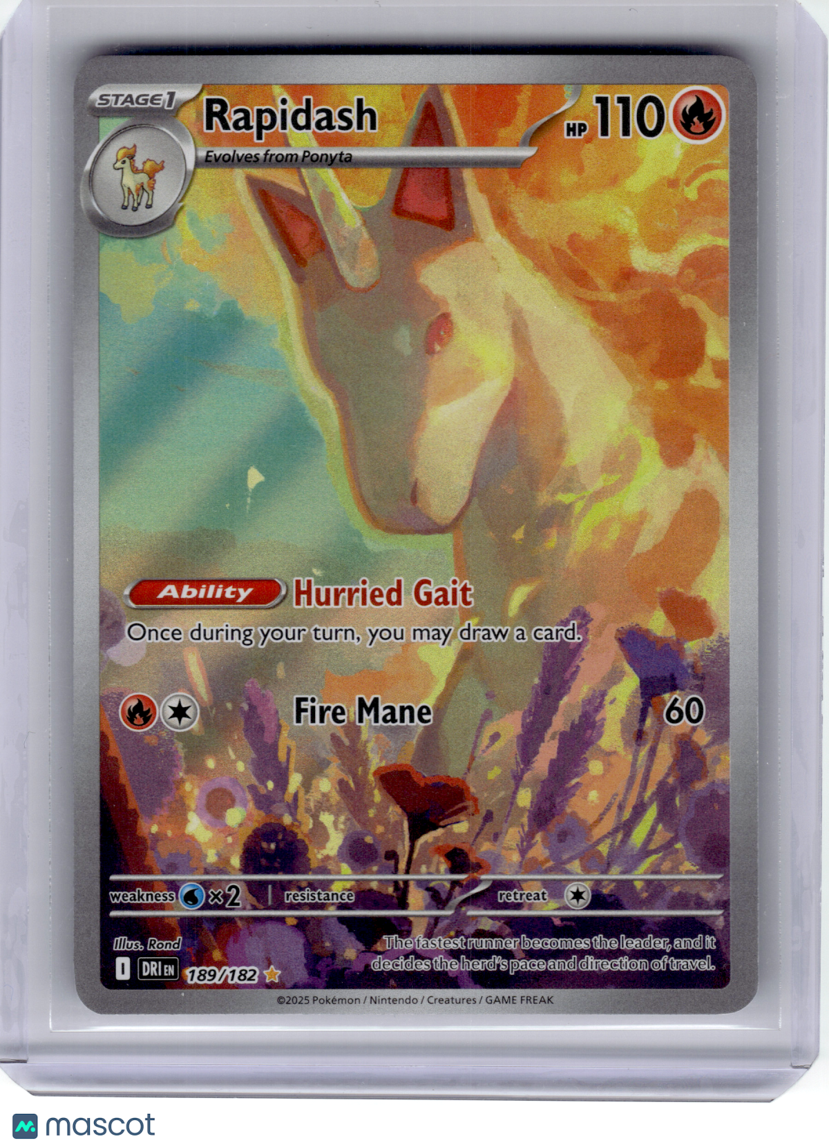 2025 Pokemon—Rapidash #189 Destined Rivals—Illustration Rare Holo