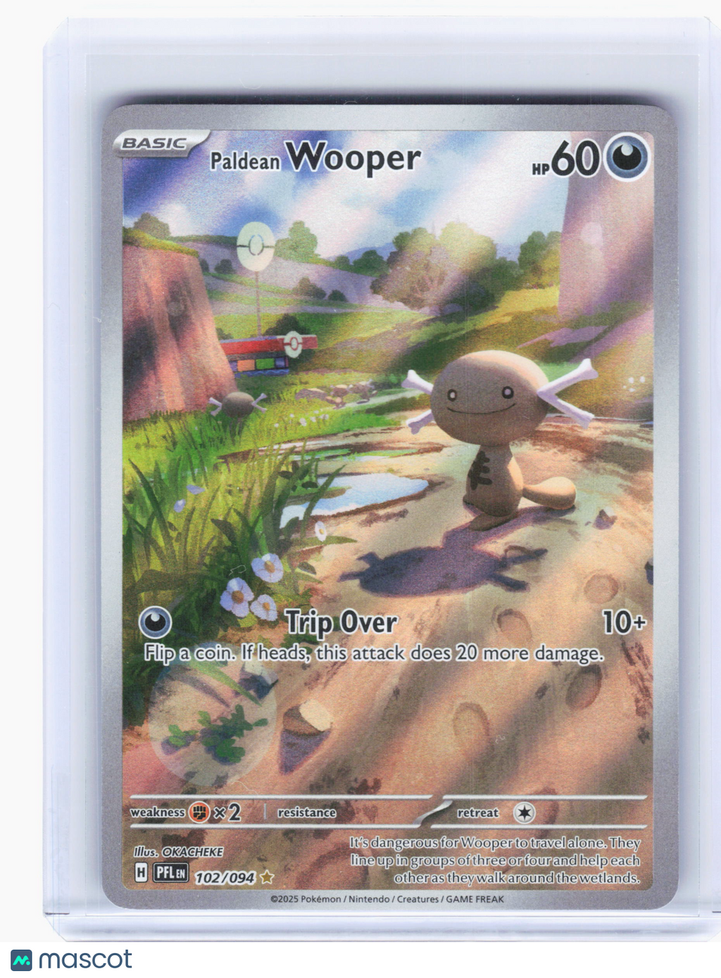 2025 Pokemon—Paldean Wooper #102 Phantasmal Flames—Illustration Rare Holo [LP]