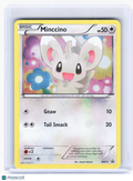 2011 Pokemon—Minccino #BW13 Black & White—Black Star Promo Cosmos Holo [LP]
