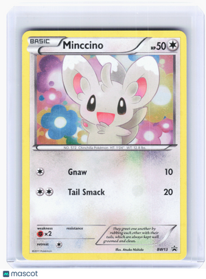 2011 Pokemon—Minccino #BW13 Black & White—Black Star Promo Cosmos Holo [LP]