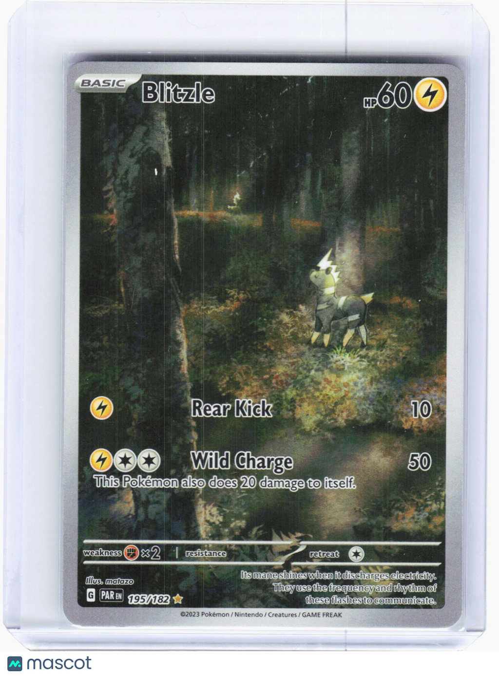 2023 Pokemon—Blitzle #195/182 Paradox Rift—Illustration Rare Holo