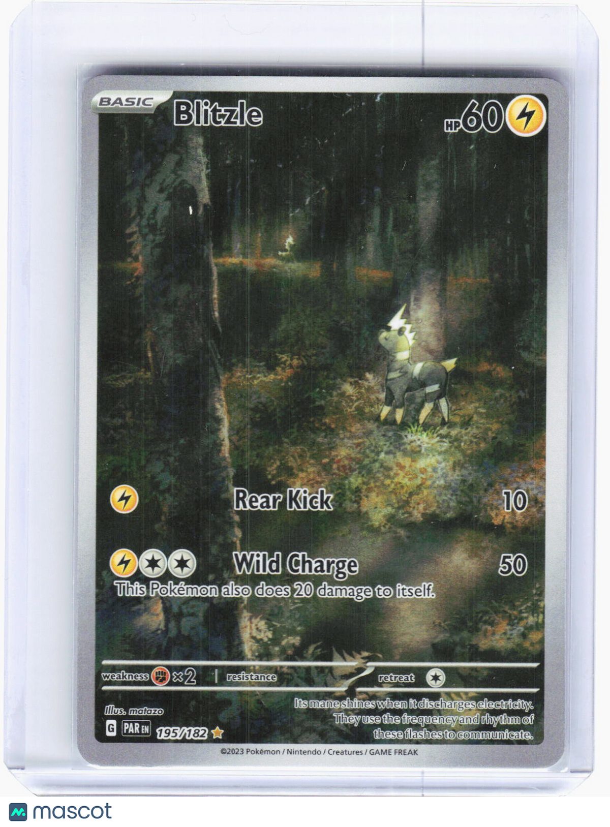 2023 Pokemon—Blitzle #195/182 Paradox Rift—Illustration Rare Holo