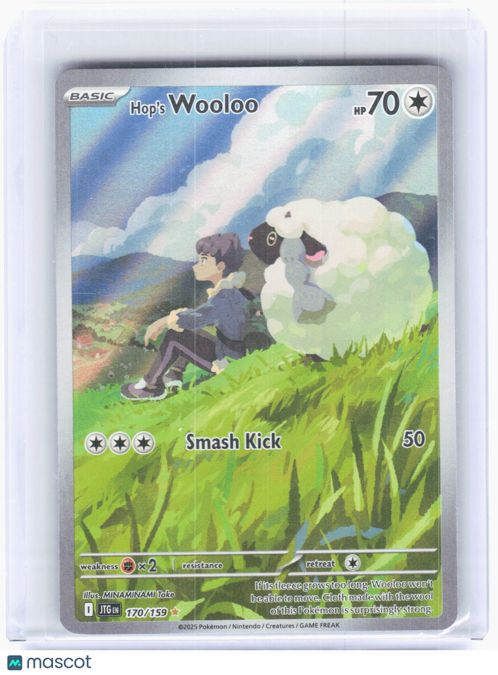 2025 Pokemon—Hop's Wooloo #170/159 Journey Together—Illustration Rare Holo