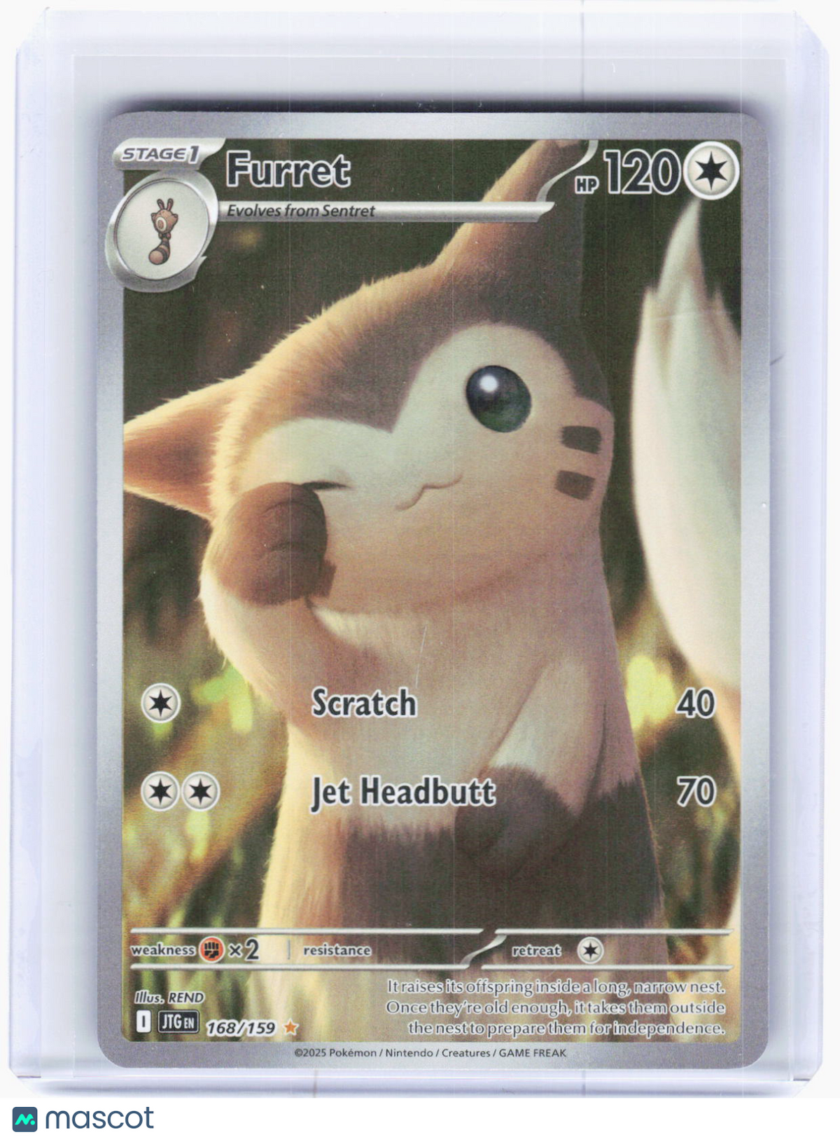 2025 Pokemon—Furret #168/159 Journey Together—Illustration Rare [Lightly Played]