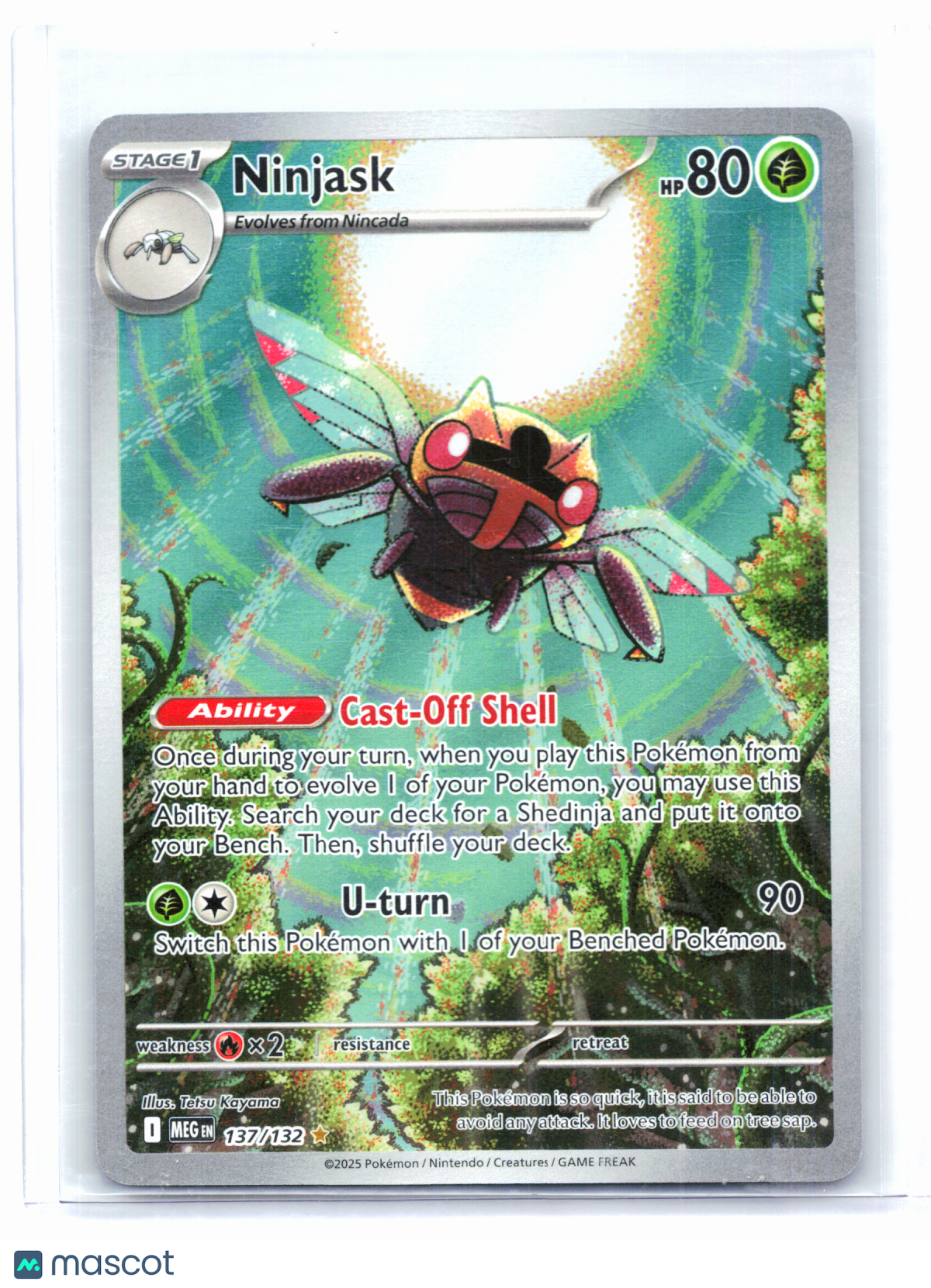 2025 Pokemon—Ninjask #137/132 Mega Evolution Base Set—Illustration Rare Holo