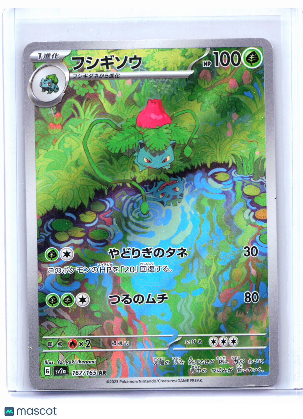 2023 Pokemon—Ivysaur #167/165 Pokemon Card 151—Art Rare Holo Japanese [Damaged]