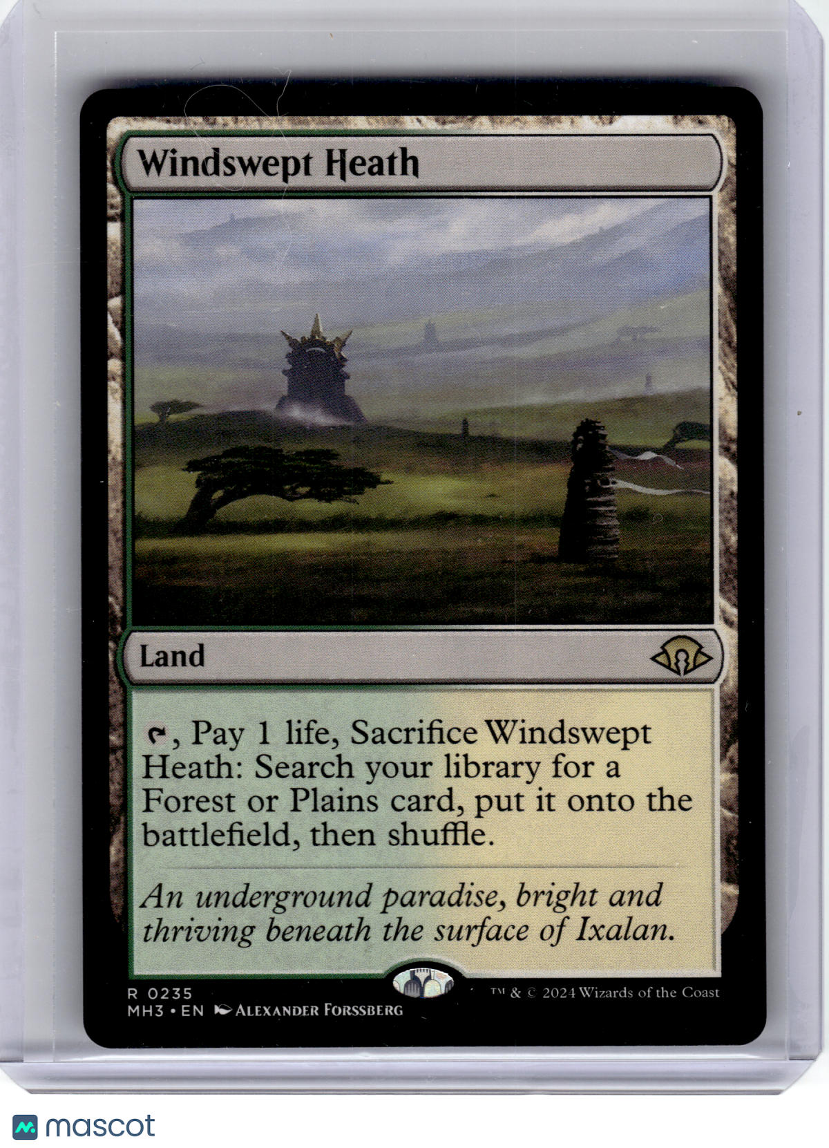 2024 Magic: The Gathering—Windswept Heath #235 Modern Horizons 3—Rare Non-Foil