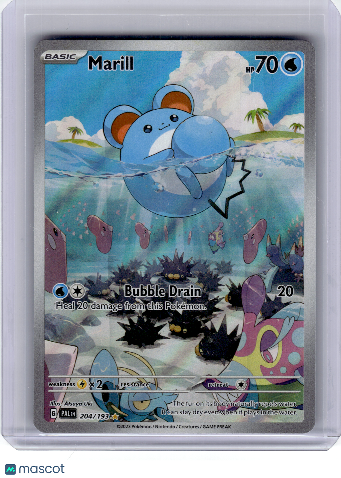 2023 Pokemon—Marill #204 Paldea Evolved—Illustration Rare Holo [Lightly Played]