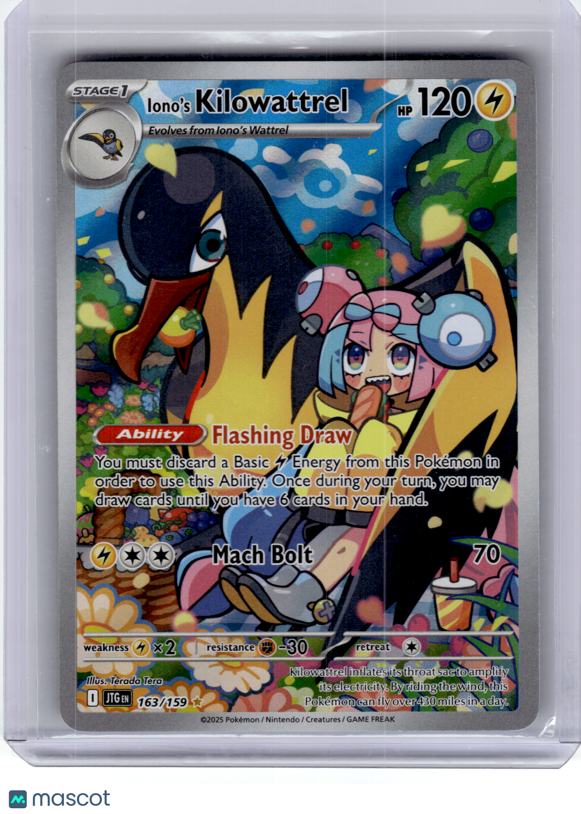 2025 Pokemon—Iono's Kilowattrel #163 Journey Together—Illustration Rare Holo