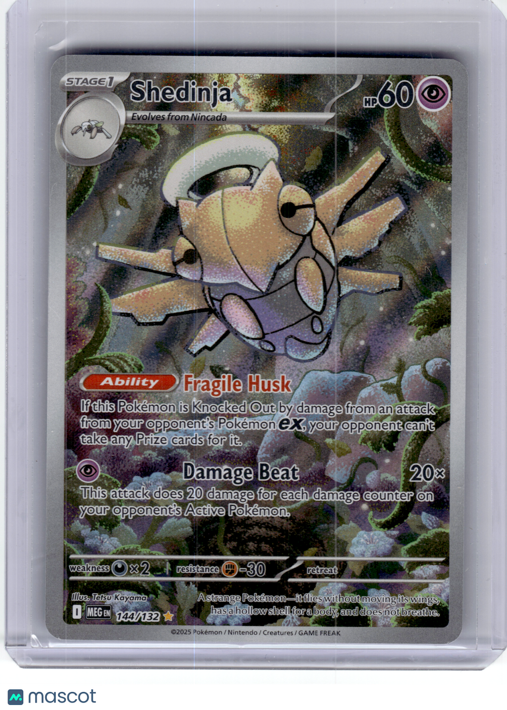 2025 Pokemon—Shedinja #144 Mega Evolution—Illustration Rare Holo